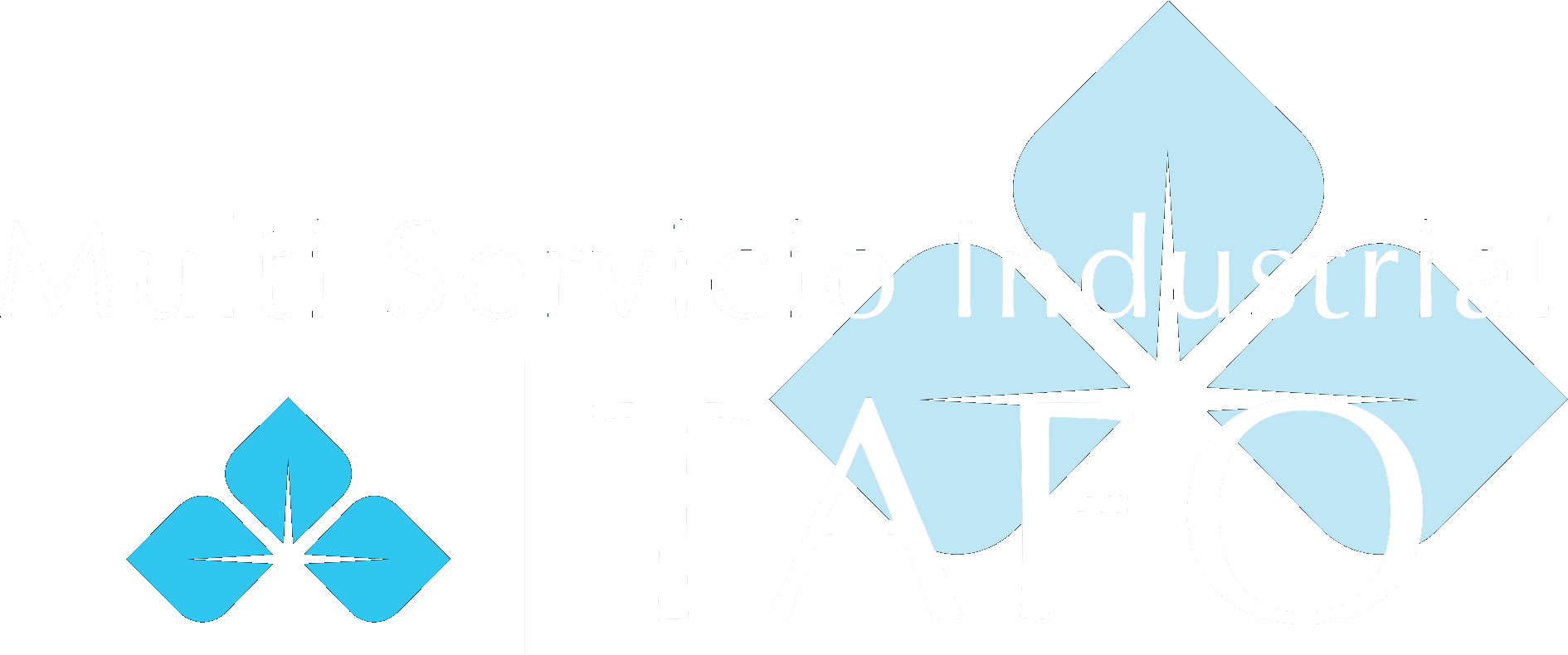 Grupo TAFO