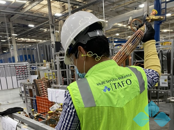 Se muestra un inspector de Grupo TAFO en un proceso de recibo, sorteos de calidad.